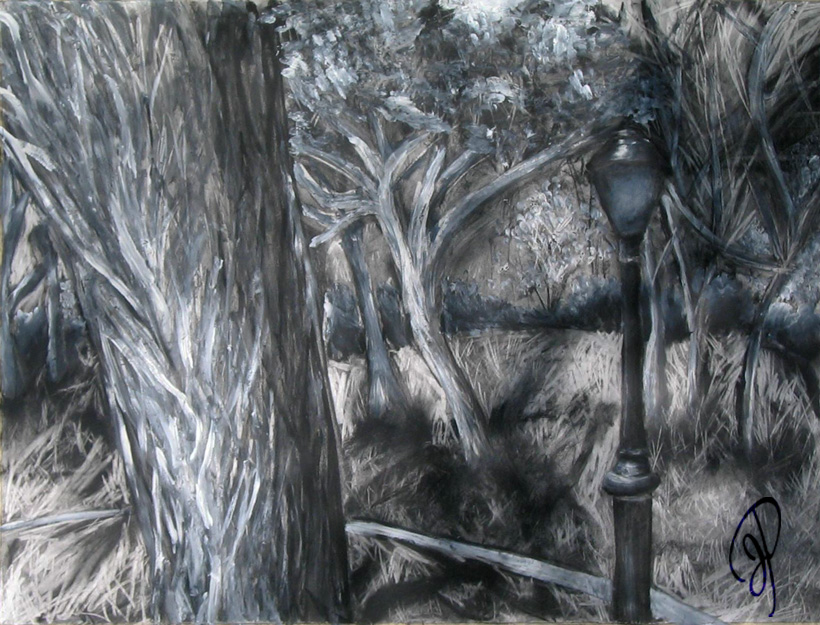 Large Charcoal Drawing
